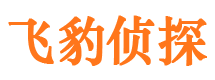 祥云侦探公司